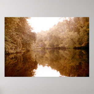 Mirrored Lakeview Poster