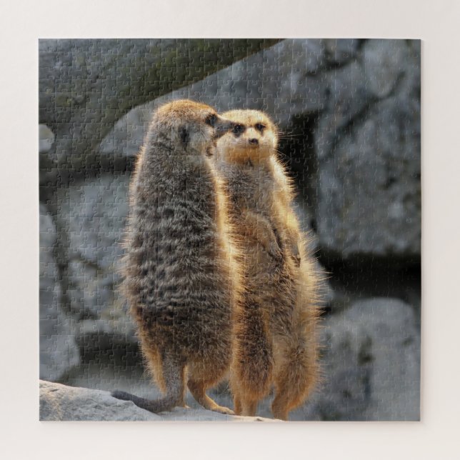 Mirrored Meerkats (Vertikal)