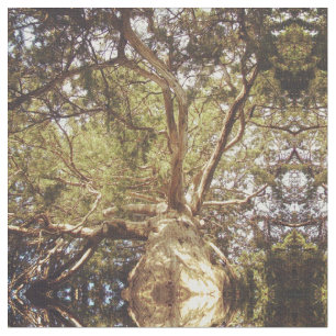 Mirrored Tree Stoff
