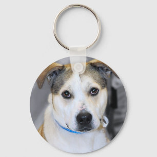 Misch-Zucht Pitbull/gelber Schlüsselanhänger