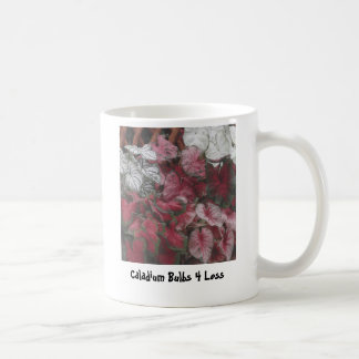 Mischbirnen, Caladium-Birnen 4 weniger Kaffeetasse