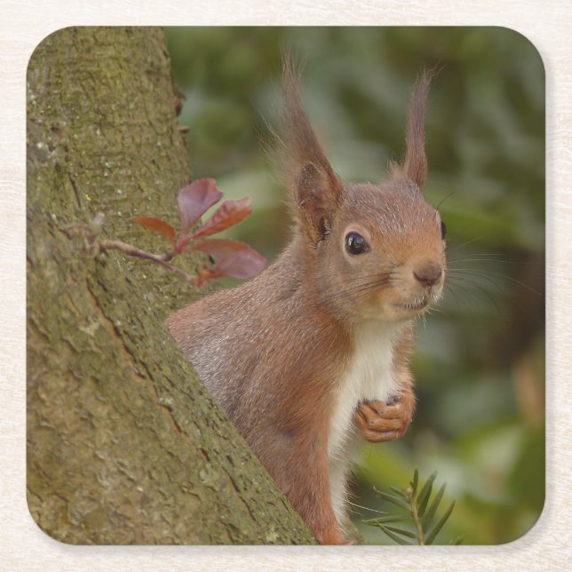 Mischeuvous Red Squirrel Rechteckiger Pappuntersetzer (Vorderseite)