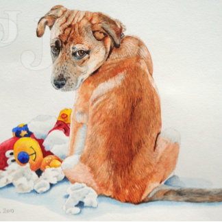 Mischhund mit niedlichem Teddy Postkarte