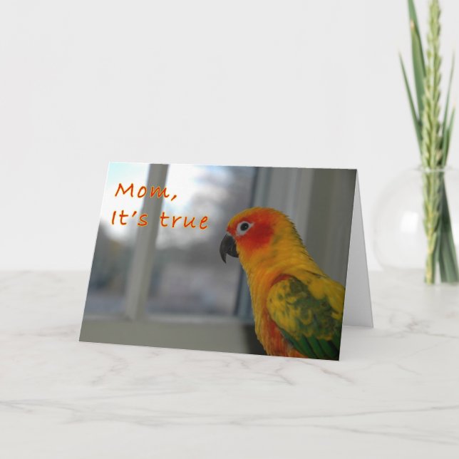 Mischief Karte (Vorderseite)