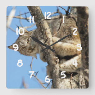 Mischievous Lynx Quadratische Wanduhr
