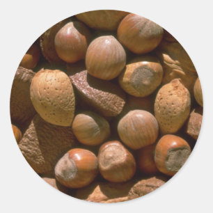 Mischnüsse in den Muscheln Runder Aufkleber