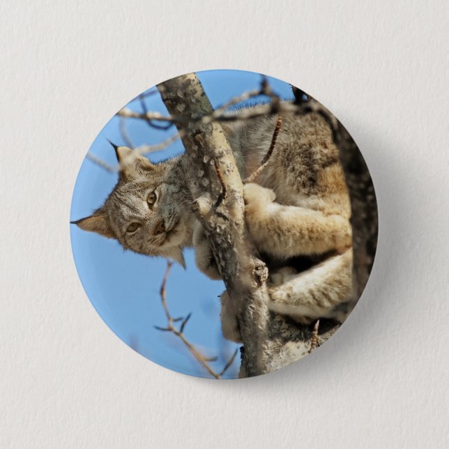 Mischous Lynx Button (Vorderseite)