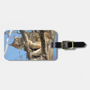 Mischous Lynx Gepäckanhänger