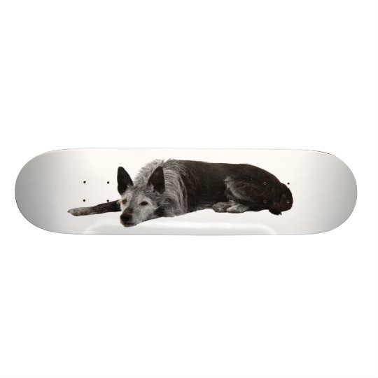 Mischzuchthundelegen Skateboarddeck