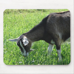 Misha Mousepad