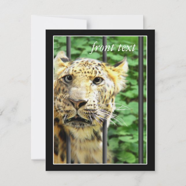 Mishap im Zoo Einladung (Vorderseite)