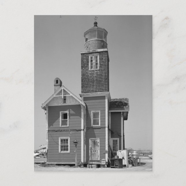 Mispillion Lighthouse Postkarte (Vorderseite)