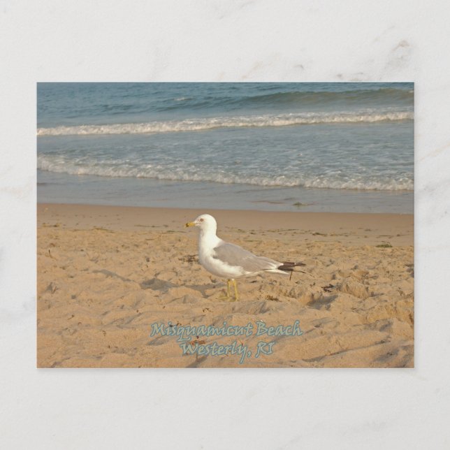 Misquamicut Beach Postkarte (Vorderseite)