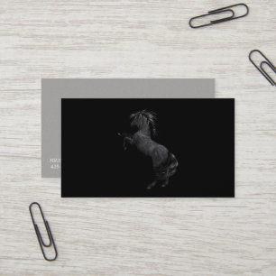 Miss America Rodeo Horse Business Cards Visitenkarte