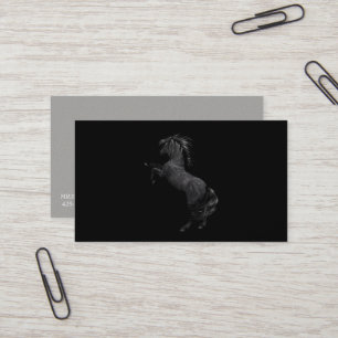 Miss America Rodeo Horse Cartes de visite