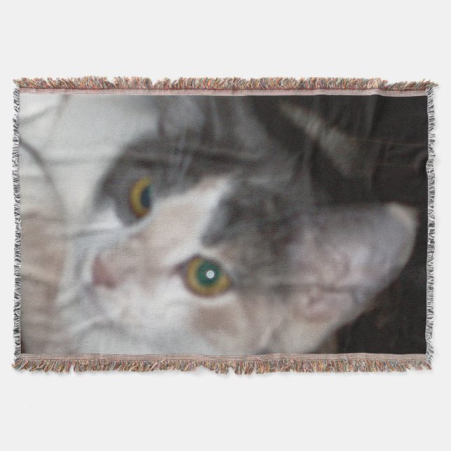 Miss Angel 2 Decke (Vorderseite)