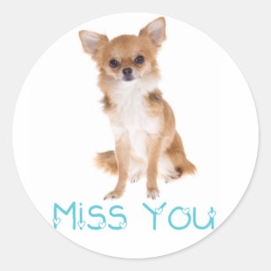 Miss Chihuahua Chiot Chig Sticker Étiquette