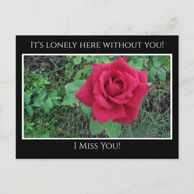 Miss dich, es ist einsam hier Rote Rose mit Raindr Postkarte (Vorderseite)
