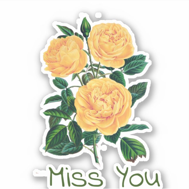 Miss dich, gelbes Rosendesign, Aufkleber (Vorderseite)