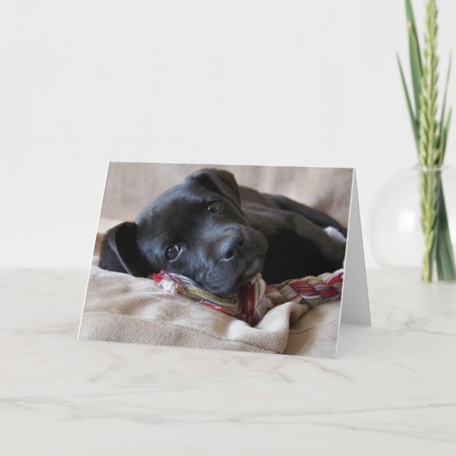 Miss dich! karte (Vorderseite)