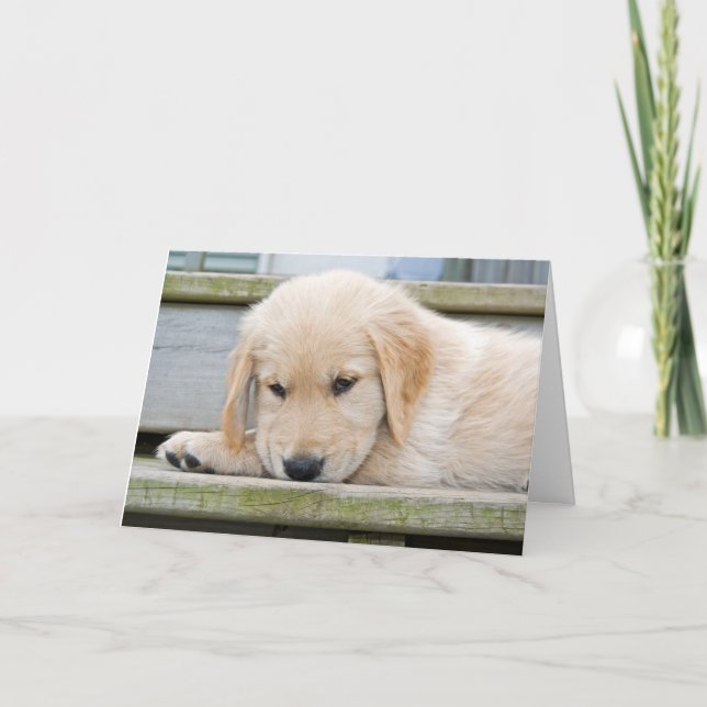 Miss dich karte (Vorderseite)