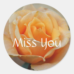 Miss dich, Rose in Peach Runder Aufkleber