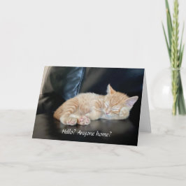 Miss du Orange Kitten Card Niedlich jemand Zuhause Karte