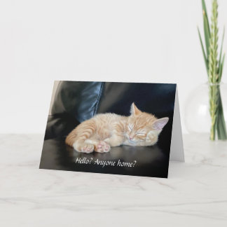 Miss du Orange Kitten Card Niedlich jemand Zuhause Karte