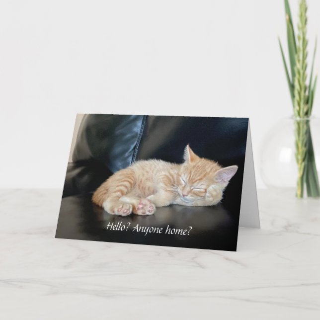 Miss du Orange Kitten Card Niedlich jemand Zuhause Karte (Vorderseite)