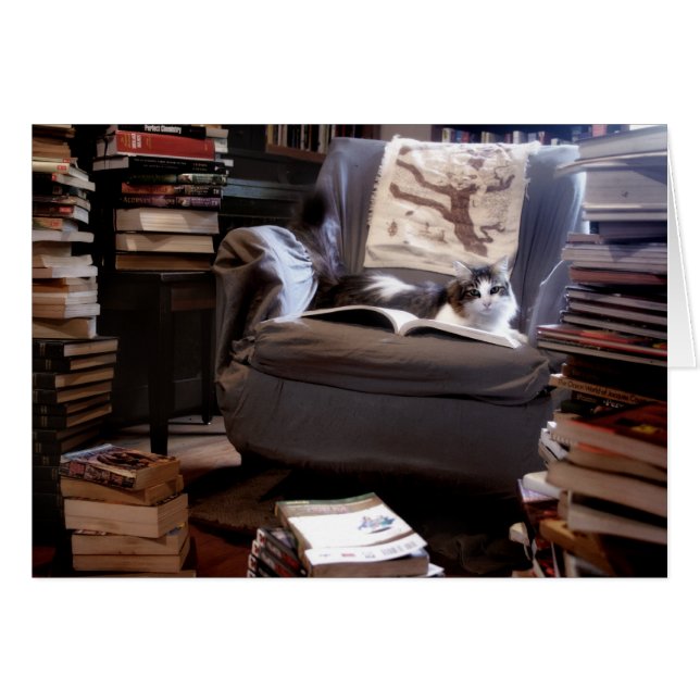 Miss Kitty's Book Collection (Vorderseite (Horizontal))