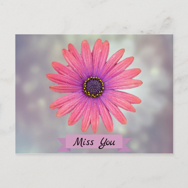 Miss Sie Hübsch Daisy Blume Petals Postkarte (Vorderseite)
