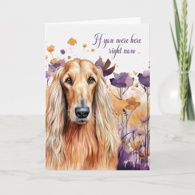 Miss You Afghan Hund Wildblume Meadow Karte (Vorderseite)