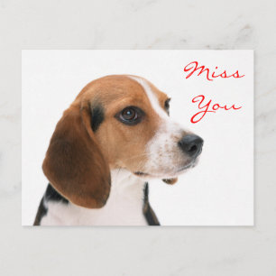 Miss You Beagle Chien Chien Chien Salutation Carte