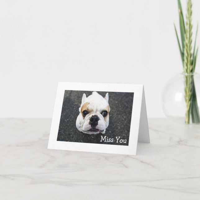 Miss You Bulldog Grußkarte - Verse Karte (Vorderseite)