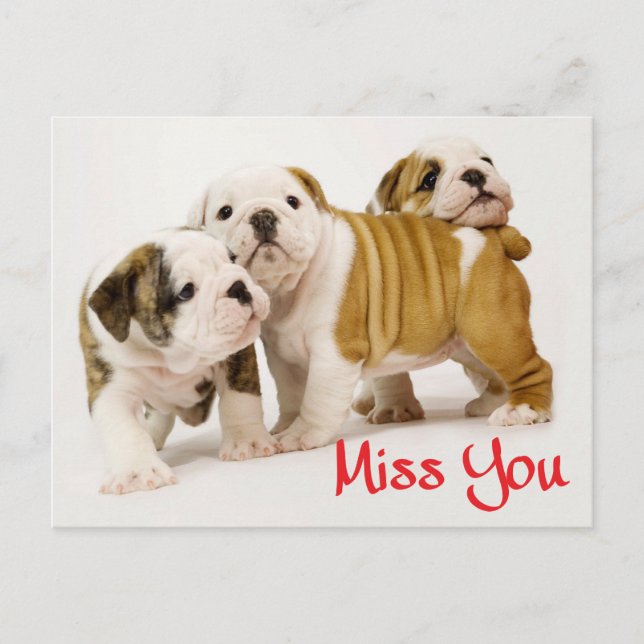 Miss You English Bulldog Puppy Dockkarte Postkarte (Vorderseite)