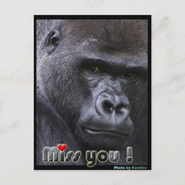 Miss you Gorilla Postkarte (Vorderseite)