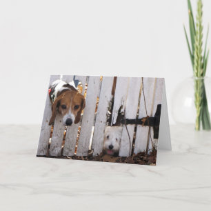 Miss You - Hunde - Beagle - Havanese Karte
