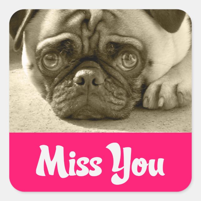 Miss You Mops Puppy Dog Grußkleber Quadratischer Aufkleber (Vorderseite)