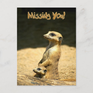 Miss You Postcard Postkarte