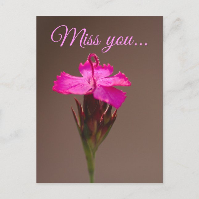 Miss you... postkarte (Vorderseite)