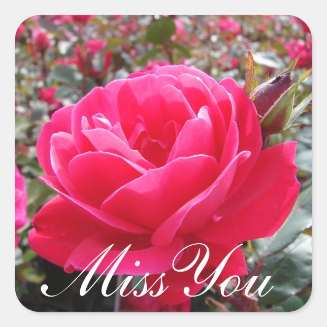 Miss You Romantic Rose Stickers (Devant)