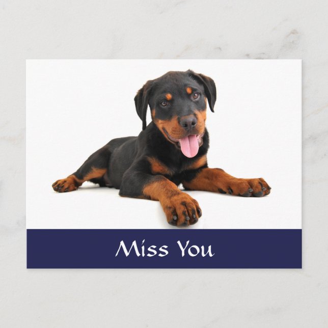Miss You Rottweiler Puppy Dog Gruß Postkarte (Vorderseite)