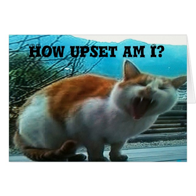 **MISS YOU** TELLEMENT à **NOËL** (Devant horizontal)