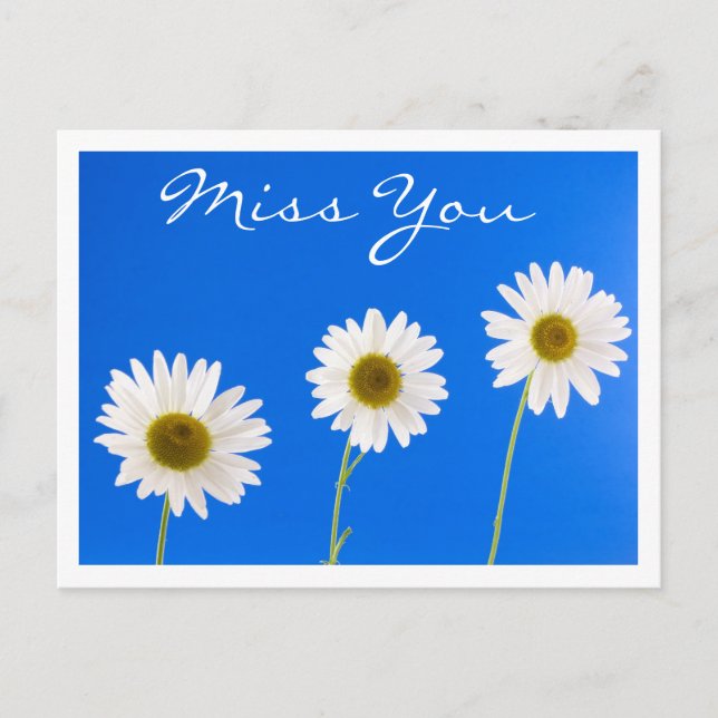 Miss You White Daisy Floral Grußkarte Postkarte (Vorderseite)