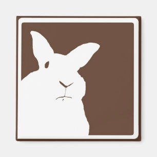 Missbilligenkaninchen-Magnet Browns Magnet