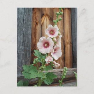 Misshandlung Postkarte