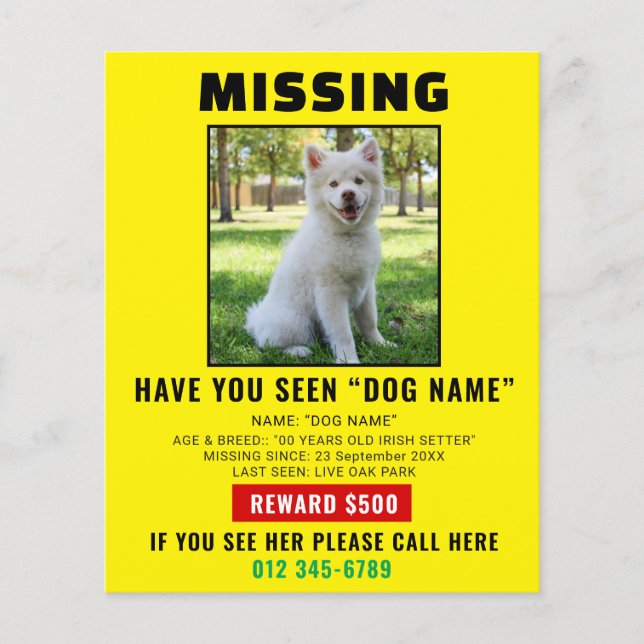 Missing Pet Dog – Urgent Template Poster Flyer (Vorne)