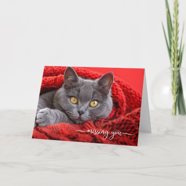 Missing You Gray Cat in a Red Knit Afghan Karte (Vorderseite)