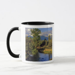 Mission Creek im National Bison Range in Tasse