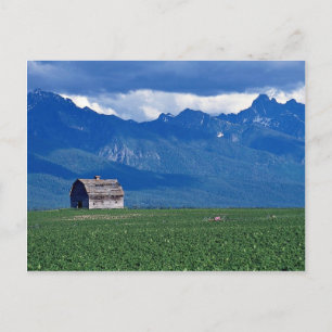 Mission Mountains, Flathead Valley, Montana, USA Postkarte